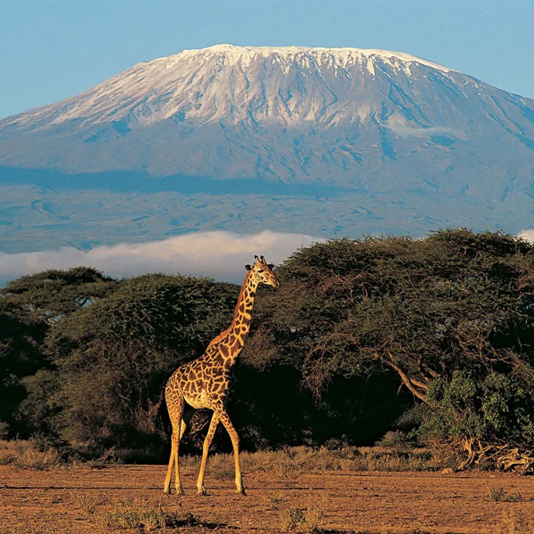 simair-lot-kilimanjaro-2025