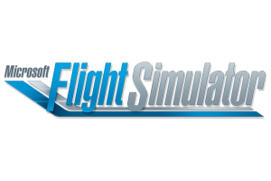 Flight Simulator
